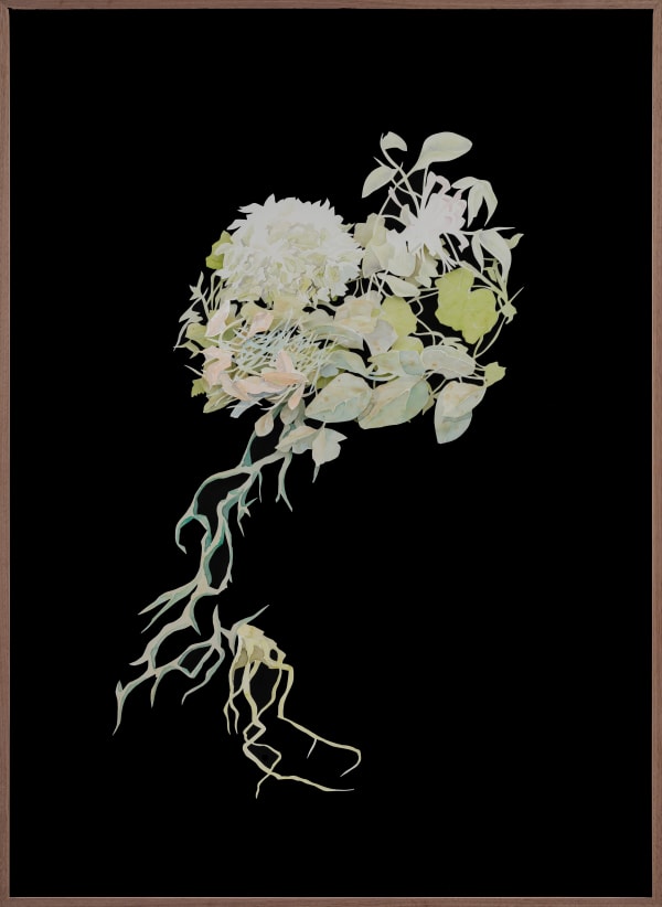 Johannes Heldén, Carte de visite (Lonicera caprifolium), 2024