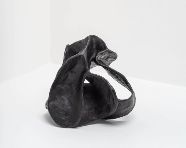 Carl Boutard, Hearing , 2020