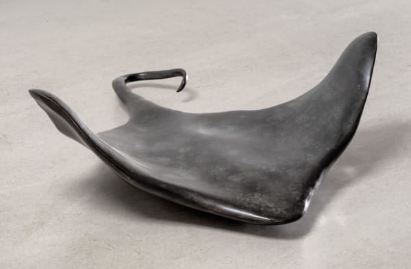 Johannes Heldén, Dark Ray, 2022