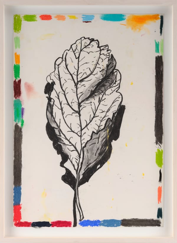 Carl Boutard, Leaf, 2024