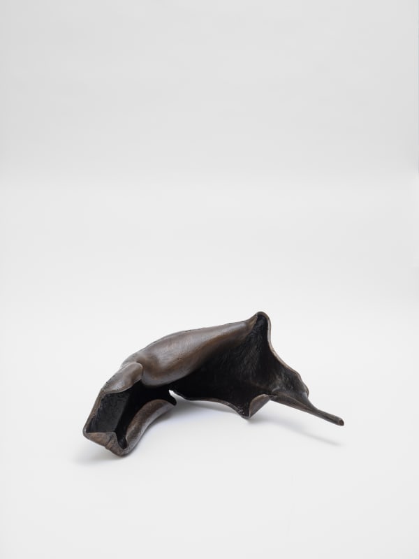 Carl Boutard, Degrowth no. 2, 2025