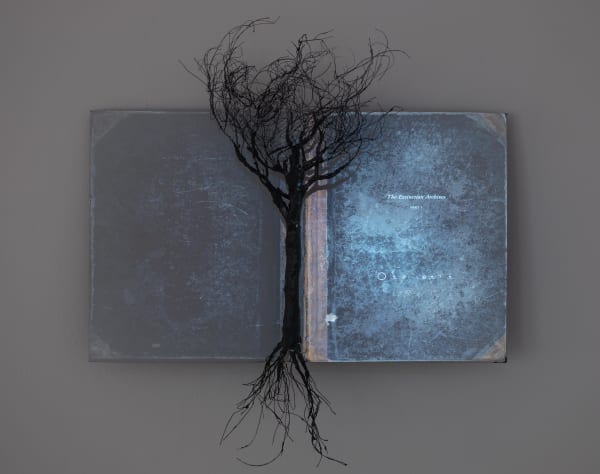 Johannes Heldén, The Extinction Archives (Part 1), 2019