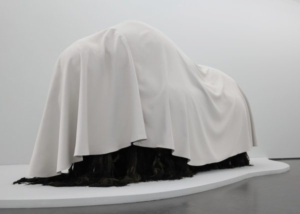 Ohlsson/Dit-Cilinn, Hibernaculum, 2017