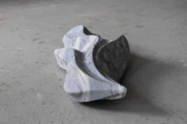 Samaneh Reyhani, Barg, 2024