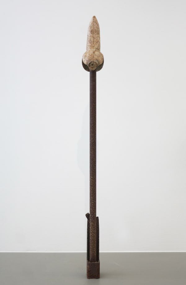 Dit-Cilinn, Dilator, 2019