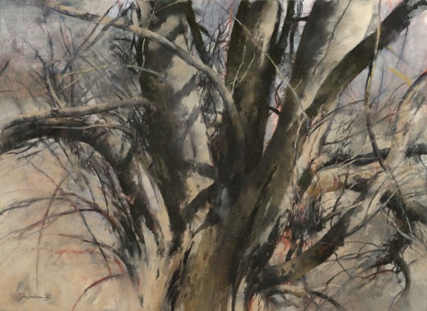 John Macfarlane, Beech Tree, Spring, 2025