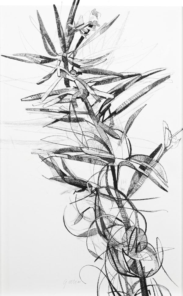 Clarissa Galliano, Rosebay Willow Herb, 2025