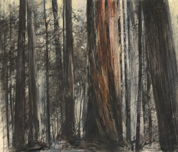 John Macfarlane, The Giants, California, 2025