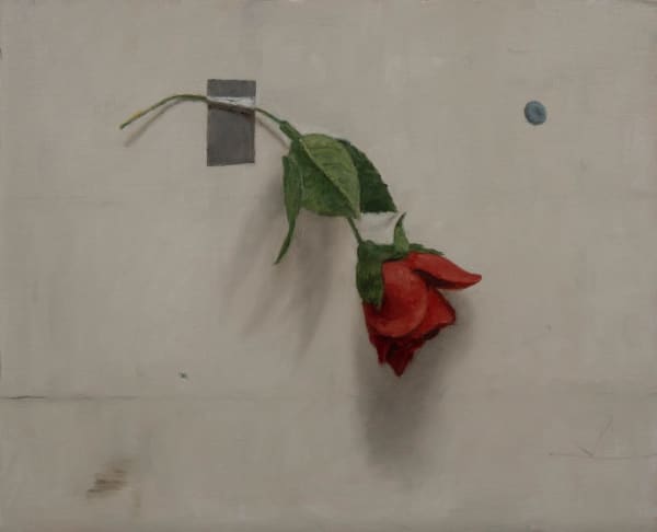 Harry Holland, Wallflower, 2024