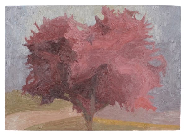Lachlan Hinwood, Pink Tree, 2025