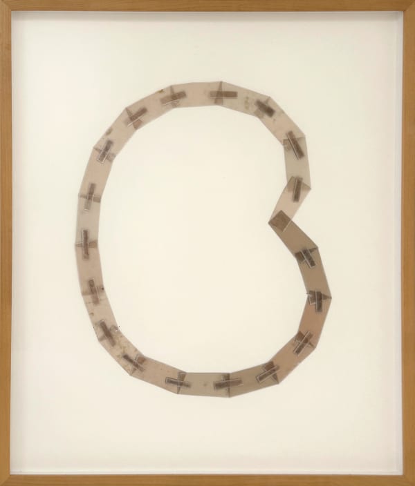 Mari Andrews, Kidney, 2016