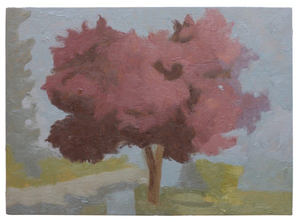 Lachlan Hinwood, Cherry Tree, 2025
