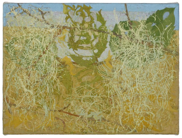 Lachlan Hinwood, Old Man's Beard, 2024