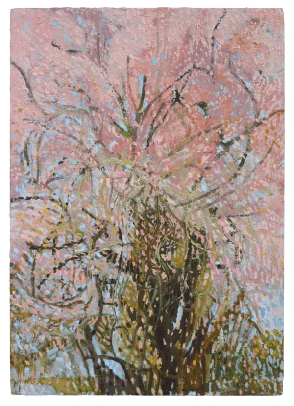 Lachlan Hinwood, Blossoming Tree, 2025