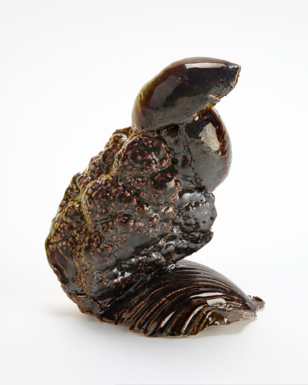 Bird 13\17, 2022 Noa Chernichovsky