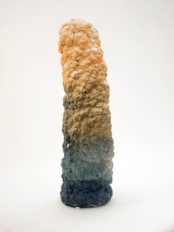 Cauliflower Bollard 4, 2022 Noa Chernichovsky