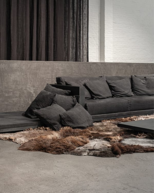 Wildest Forest, 2024 Carine Boxy