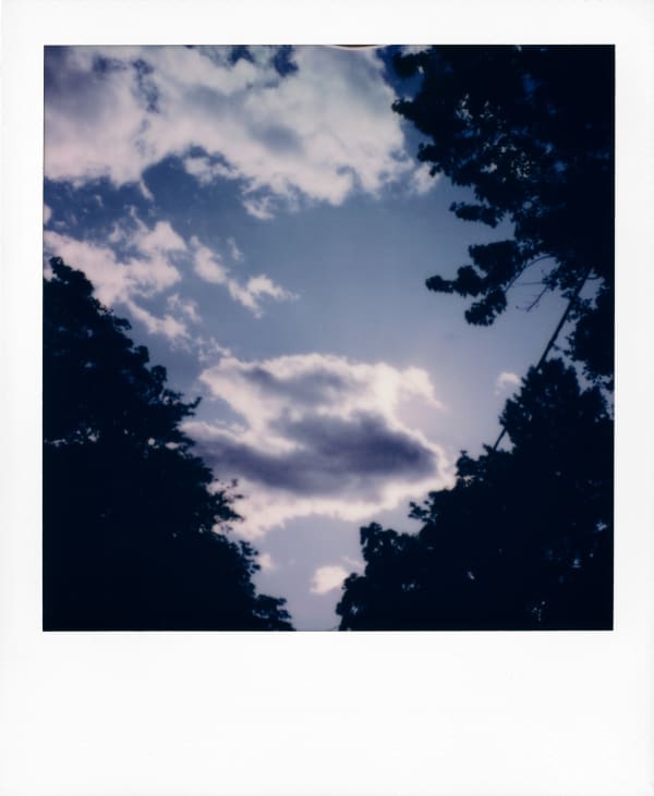 Sean Donnola Untitled, 2020 Color instant print (Polaroid) Framed: 10 5/8 x 9 7/8 x 1 1/2 inches (27 x 25.1 x 3.8 cm)