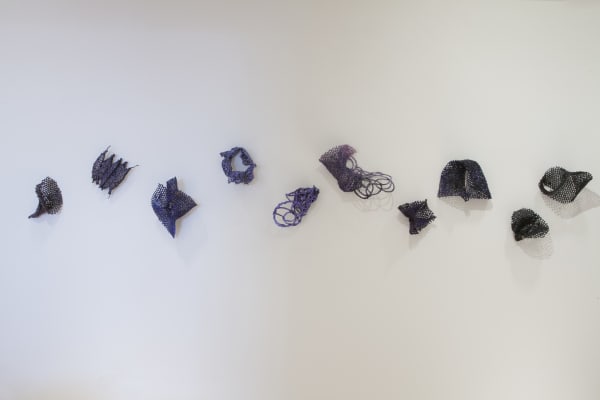 Kelly Sheppard Murray, 31. Known Since Antiquity (Grouping of 10 Curiosities), 2016-2020