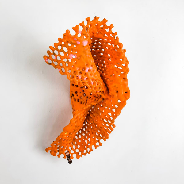 Kelly Sheppard Murray, Curiosity No. 482