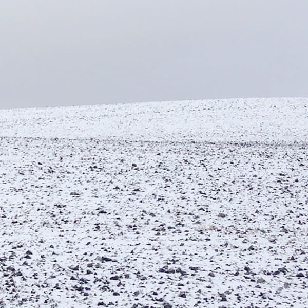 Grace Clark, Sweet Fields X, 2020