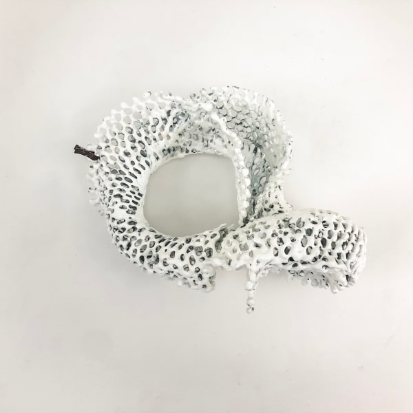 Kelly Sheppard Murray, Curiosity No. 474