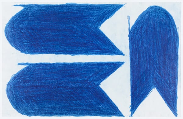 Evelyn Reyes, Carrots, Blue (Mixed Direction), 2004-2009