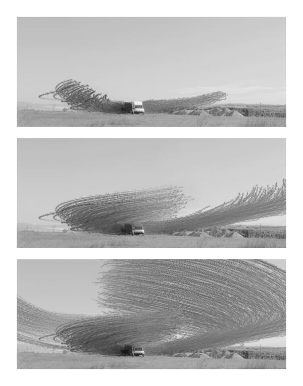 Ornithography # T2