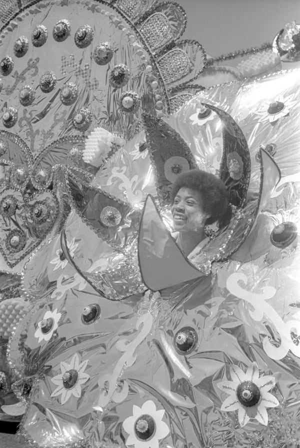 Caribana Sunflower
