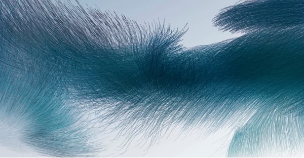 XAVI BOU - Ornithography #228, 2021