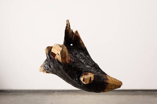 Bhuvanesh Gowda, Ambrosia, 2016