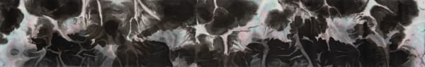 Aditi Singh, Friendship : The Flowers and the Storms, 2019