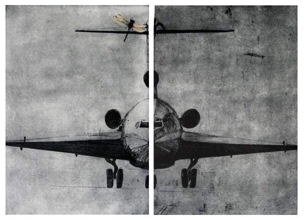 Tanujaa Rane, Angel of this Land II , 2005