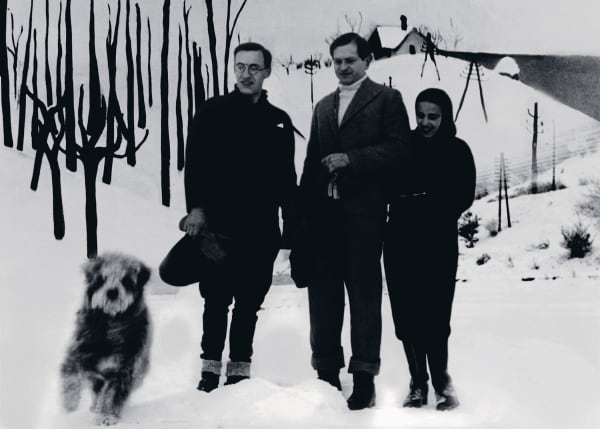 Vivan Sundaram, Retake of Amrita: Snow, 2002