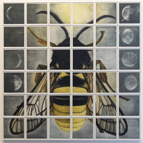 Tanujaa Rane, Metamorphosis (In search of light), 2019