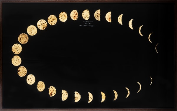 Jitish Kallat, Continuum – Individualised Variation (According to an individual’s birthday or an anniversary), 2018