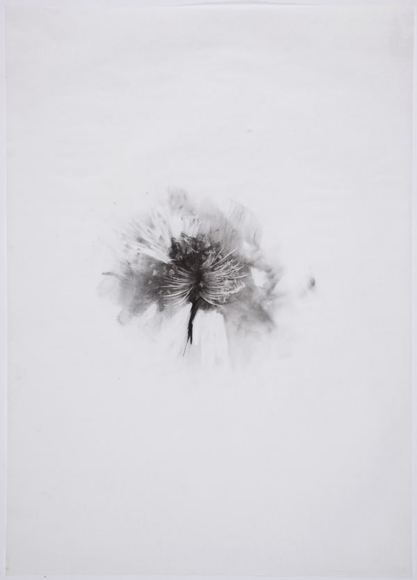 Aditi Singh, Untitled, 2010