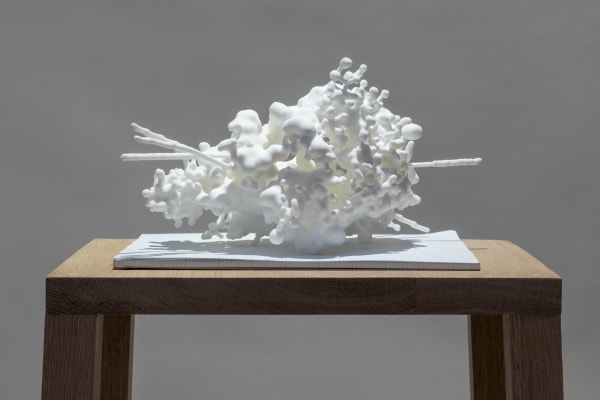 Jitish Kallat, Elicitation (Cassiopeia A), 2021