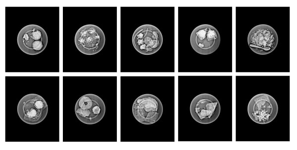 Jitish Kallat, Eclipse, 2007