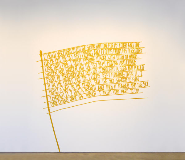 Shilpa Gupta, There is No Border here, 2005-2006