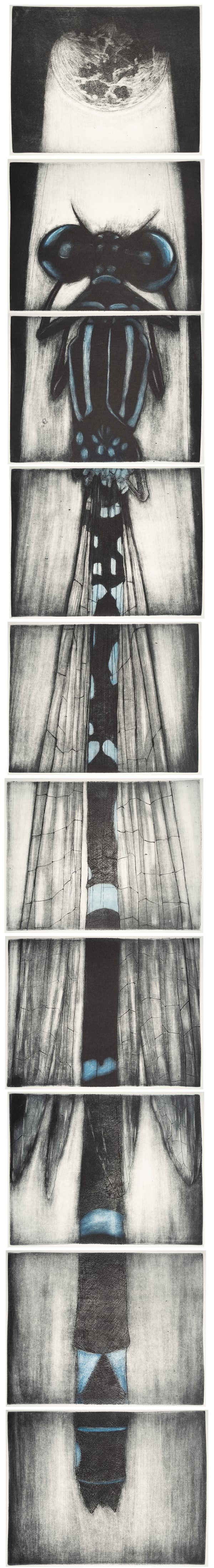 Tanujaa Rane, Towards Light, 2021