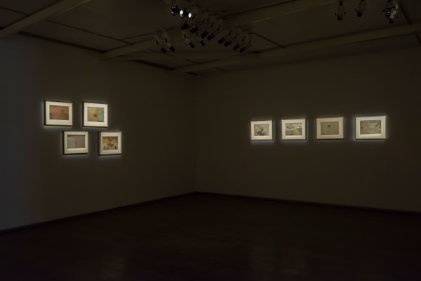 Nilima Sheikh, Terrain: Carrying Across Leaving Behind, 2017