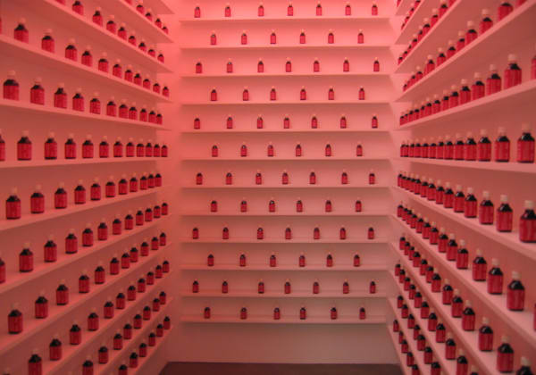 Shilpa Gupta, Blame, 2002