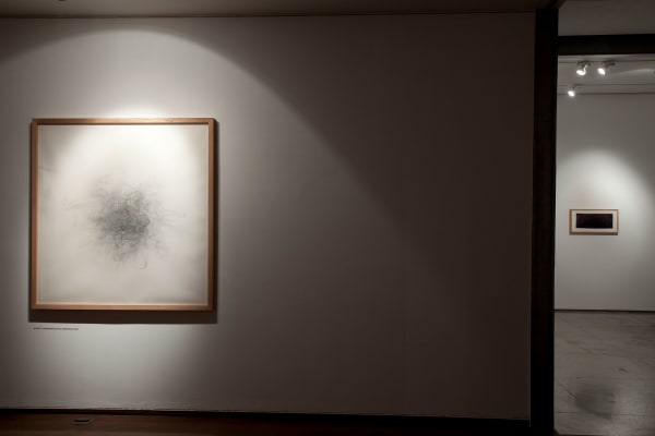 Aditi Singh, Let it be a heaven of blackbed roses, display view, 2010