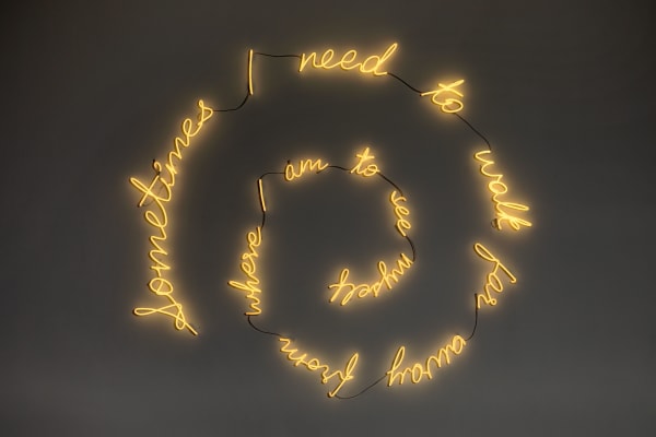 Shilpa Gupta, Sometimes I need to walk far away from where I am to see myself, 2019