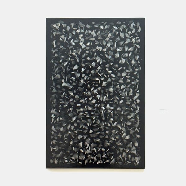 Teurk, Plumes explosion, 2025