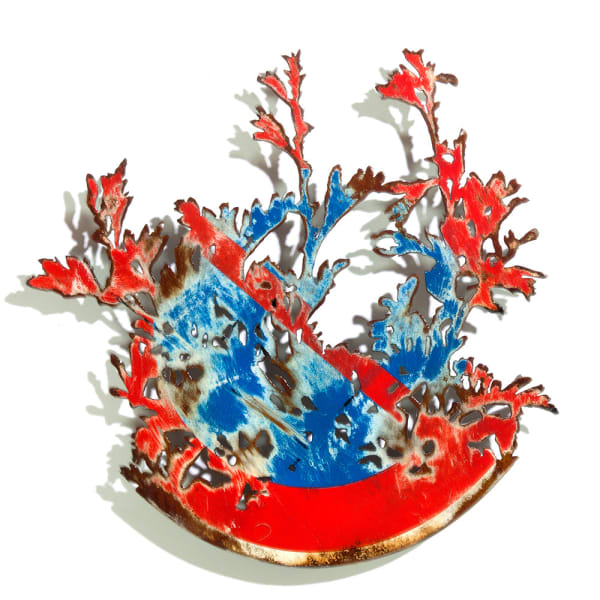 Dan Rawlings, DDS 12, 2023