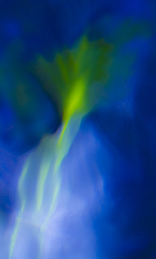 Larry Emerson, IMG_1948