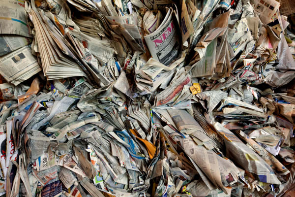 Charles Shotwell, Nemo, 2022