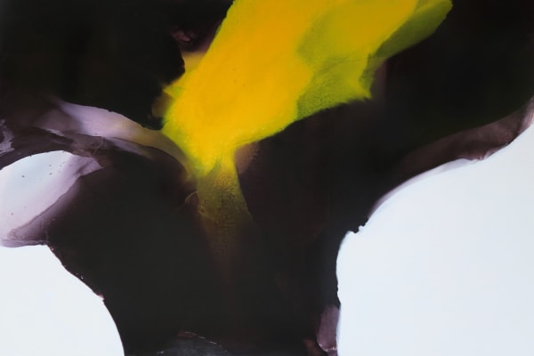 Bassmi Ibrahim, Isness 138